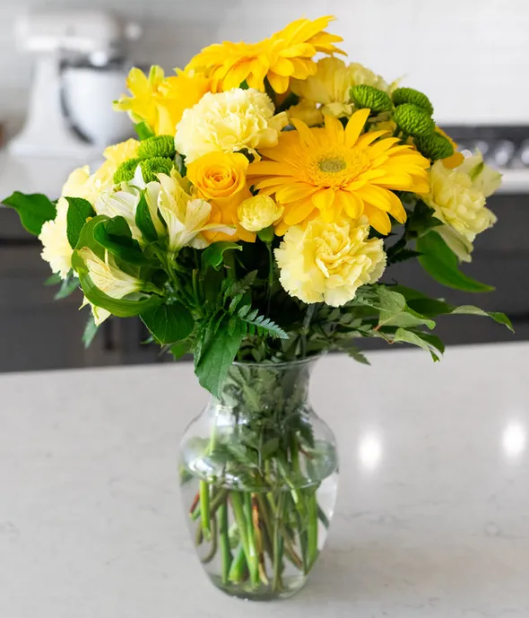 Sunshine Yellows